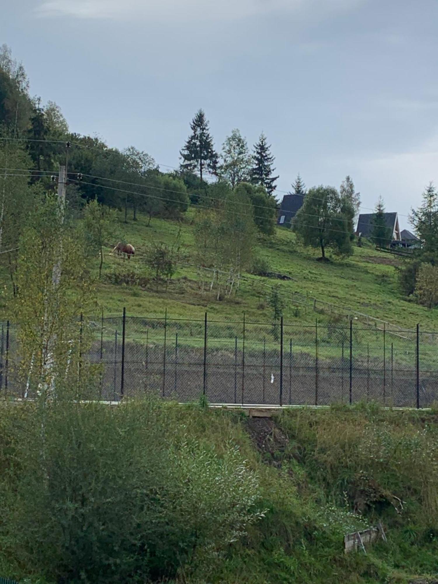 Аура Карпат Slavske Exterior foto
